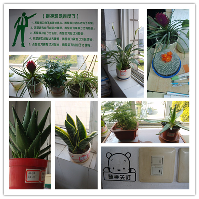“组花组草”和“观念培养”